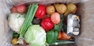 Doorstep Grocers Delivers Grocery Essentials to Your Door Family Box from Doorstep Grocers