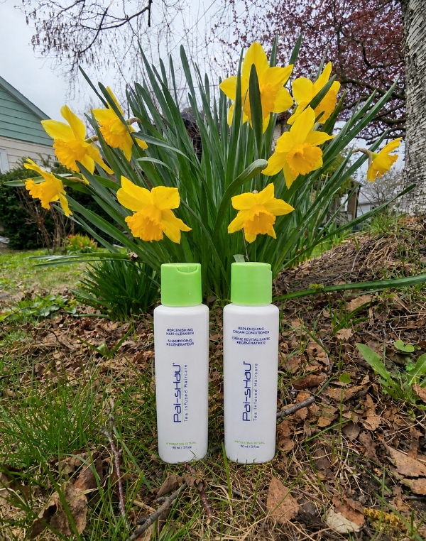 Pai-shau Tea-Infused Replenishing Hair Cleanser and Cream Conditioner