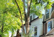 What Homeowners Get Wrong About Pests Old brick homes have settled over decades, allowing entry points for pests